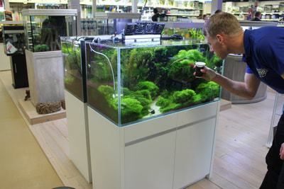 Liefhebbers uit heel Nederland komen naar onze aquascape winkel om in alle rust de mooiste aquarium bakken te ontdekken! Kom langs in de winkel en laat je ook inspireren bij Diebo! 