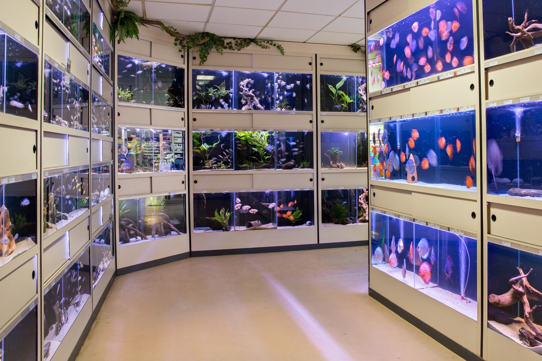 Onvervangbaar Actuator Verzorgen Grote aquarium winkel | zondag open